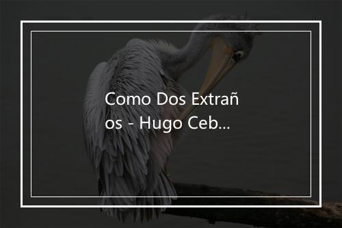 Como Dos Extraños - Hugo Ceballos-歌词