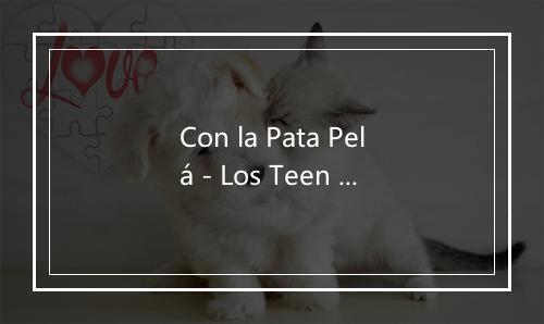 Con la Pata Pelá - Los Teen Agers-歌词_1