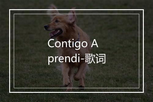 Contigo Aprendi-歌词