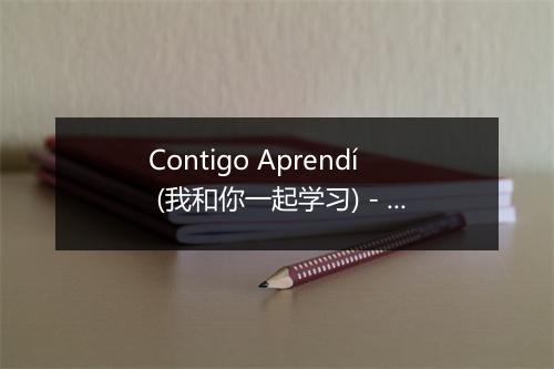 Contigo Aprendí (我和你一起学习) - Amaranto-歌词