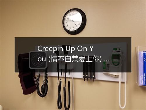 Creepin Up On You (情不自禁爱上你) - Status Quo-歌词