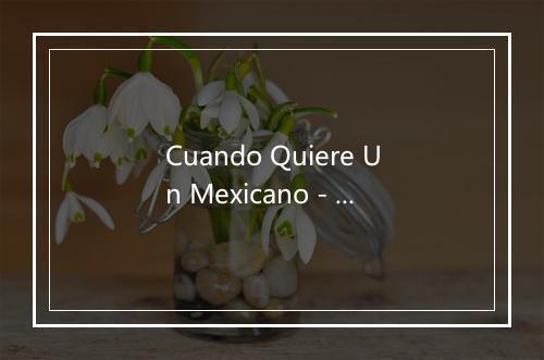 Cuando Quiere Un Mexicano - Pedro Infante-歌词