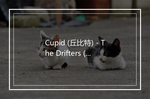 Cupid (丘比特) - The Drifters (漂流者)-歌词