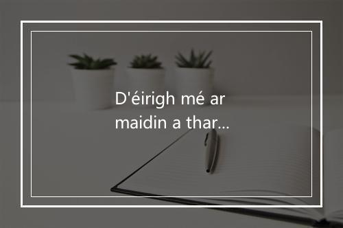 D'éirigh mé ar maidin a tharraing chun aonaigh mhóir-歌词