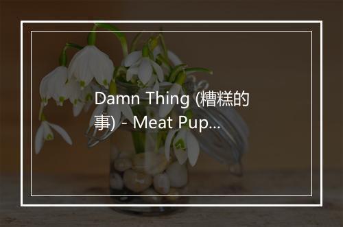 Damn Thing (糟糕的事) - Meat Puppets-歌词