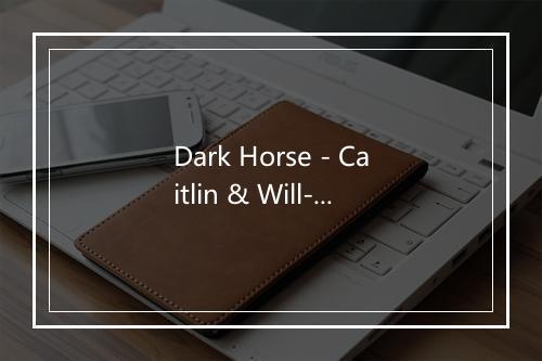 Dark Horse - Caitlin & Will-歌词