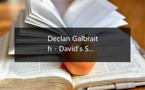 Declan Galbraith - David's Song (Who'll Come With Me)-歌词