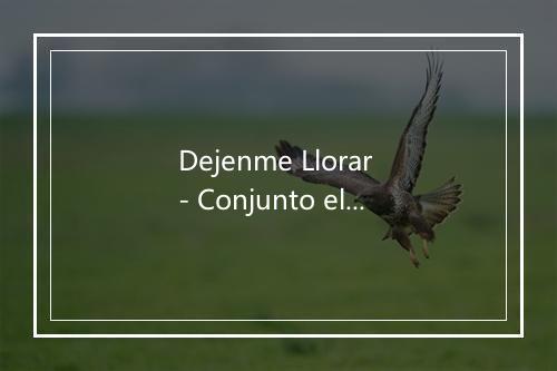 Dejenme Llorar - Conjunto el Poder-歌词