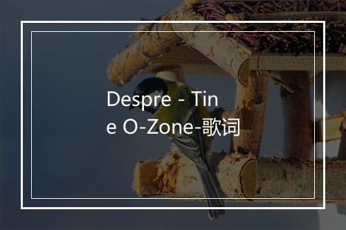 Despre - Tine O-Zone-歌词