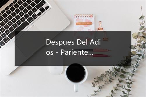 Despues Del Adios - Parientes-歌词