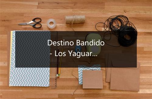 Destino Bandido - Los Yaguaru-歌词