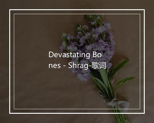 Devastating Bones - Shrag-歌词