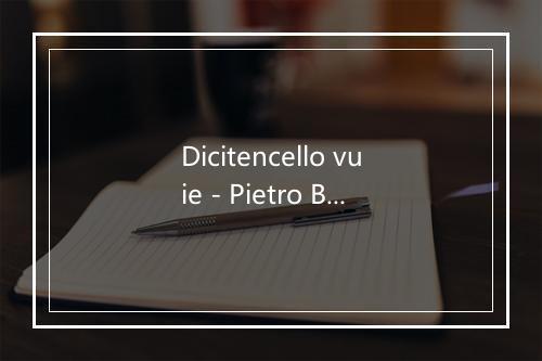 Dicitencello vuie - Pietro Bucchi-歌词