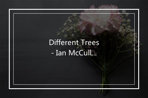 Different Trees - Ian McCulloch-歌词