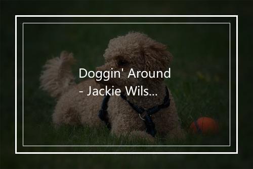 Doggin' Around - Jackie Wilson-歌词