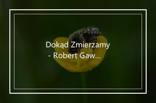 Dokąd Zmierzamy - Robert Gawlinski-歌词