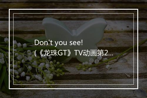 Don't you see! (《龙珠GT》TV动画第27-41集片尾曲) - ZARD (ザード)-歌词