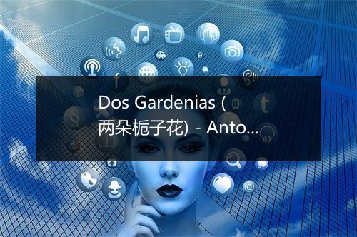 Dos Gardenias (两朵栀子花) - Antonio MacHin-歌词