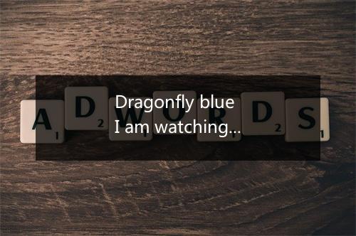 Dragonfly blue I am watching you under-歌词