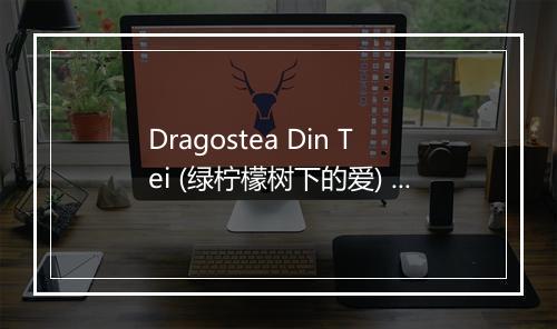 Dragostea Din Tei (绿柠檬树下的爱) - DJ In the Night-歌词