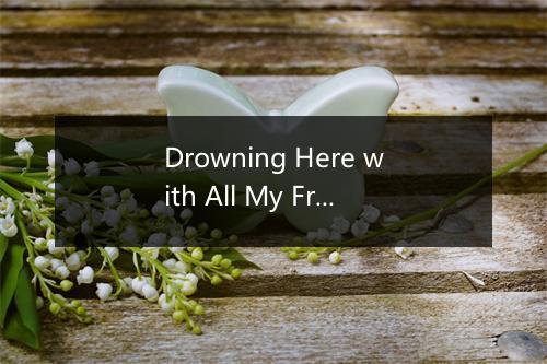 Drowning Here with All My Friends (与我所有的朋友纵情欢乐) - Infinity Crush-歌词