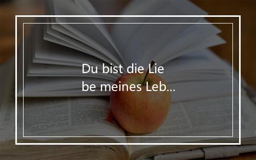 Du bist die Liebe meines Lebens - Bernhard Hirtreiter-歌词