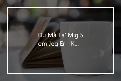 Du Må Ta' Mig Som Jeg Er - Kandis-歌词