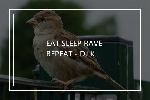 EAT SLEEP RAVE REPEAT - DJ Kee-歌词_6