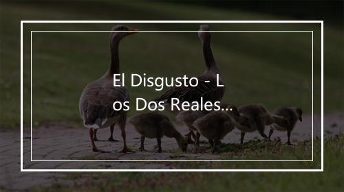 El Disgusto - Los Dos Reales-歌词