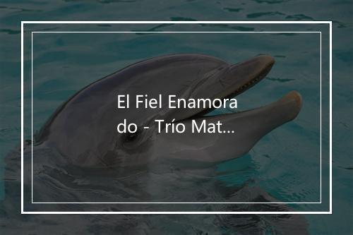 El Fiel Enamorado - Trío Matamoros-歌词_1