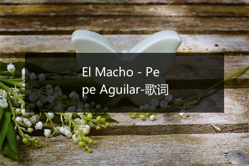 El Macho - Pepe Aguilar-歌词