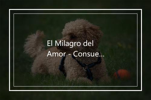 El Milagro del Amor - Consuelo-歌词