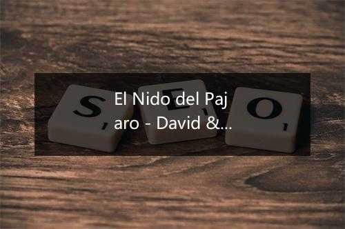 El Nido del Pajaro - David & The High Spirit-歌词