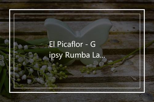 El Picaflor - Gipsy Rumba Latina Band-歌词