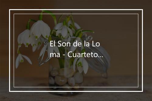 El Son de la Loma - Cuarteto De Pedro Flores-歌词