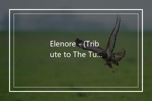 Elenore - (Tribute to The Turtles) - Wishing On A Star-歌词