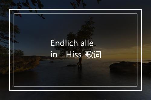 Endlich allein - Hiss-歌词