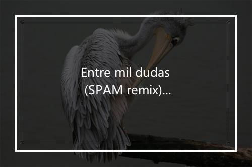 Entre mil dudas (SPAM remix) - Fangoria-歌词