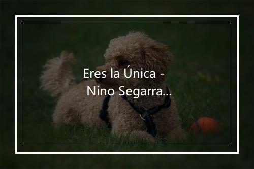 Eres la Única - Nino Segarra-歌词