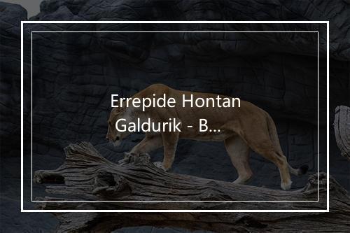 Errepide Hontan Galdurik - Betagarri-歌词