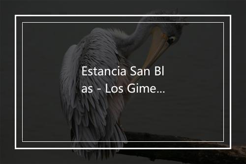 Estancia San Blas - Los Gimenez-歌词