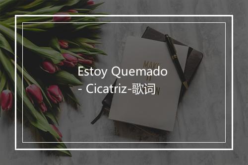 Estoy Quemado - Cicatriz-歌词