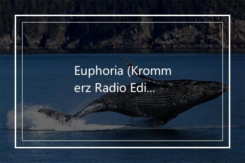 Euphoria (Krommerz Radio Edit) - O-cean-歌词