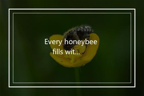 Every honeybee     fills with jealousy-歌词