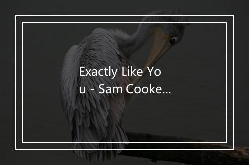 Exactly Like You - Sam Cooke-歌词