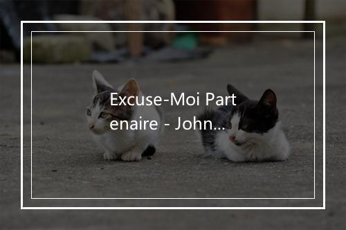 Excuse-Moi Partenaire - Johnny Hallyday-歌词