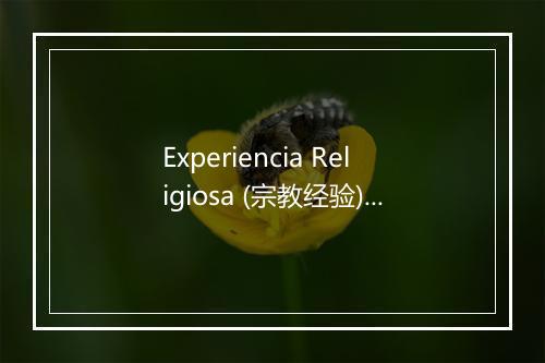 Experiencia Religiosa (宗教经验) - La Banda del Pop-歌词