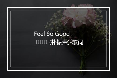 Feel So Good - 박진영 (朴振荣)-歌词