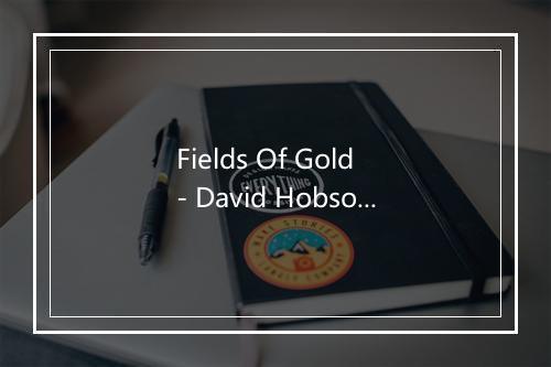 Fields Of Gold - David Hobson-歌词_1