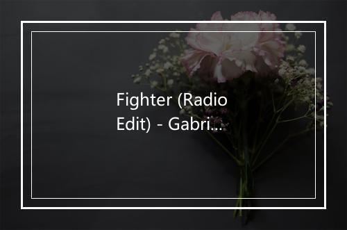 Fighter (Radio Edit) - Gabriella-歌词